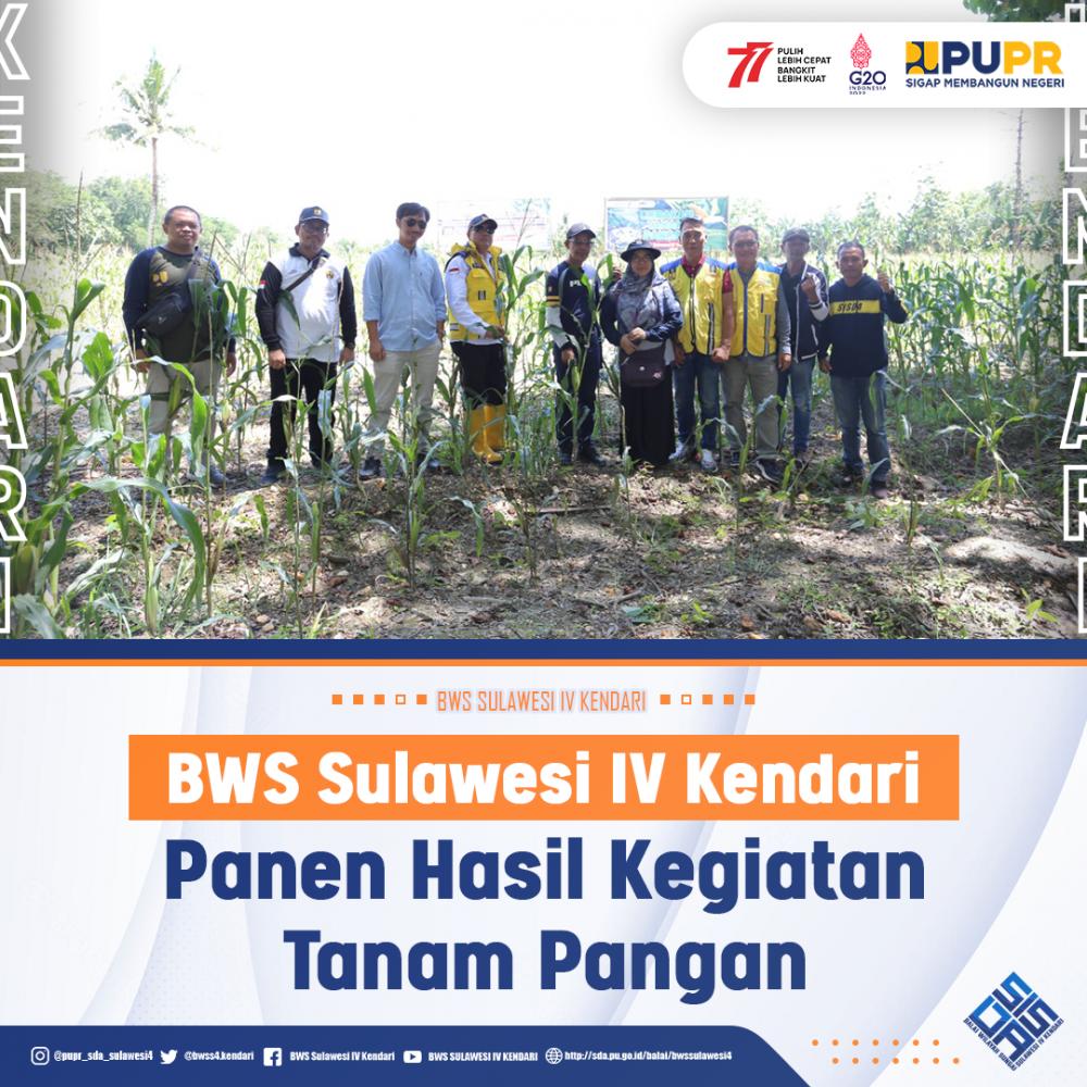 BWS Sulawesi IV Kendari Panen Hasil Kegiatan Tanam Pangan